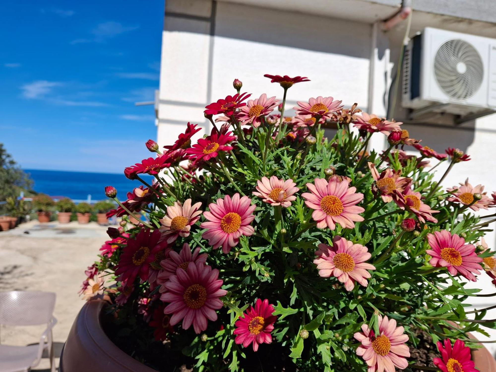 Amar Seaside Apartment Ksamil Exterior photo
